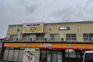 ライオン 一宮西店 – 一宮市