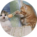 わたしはたれ?